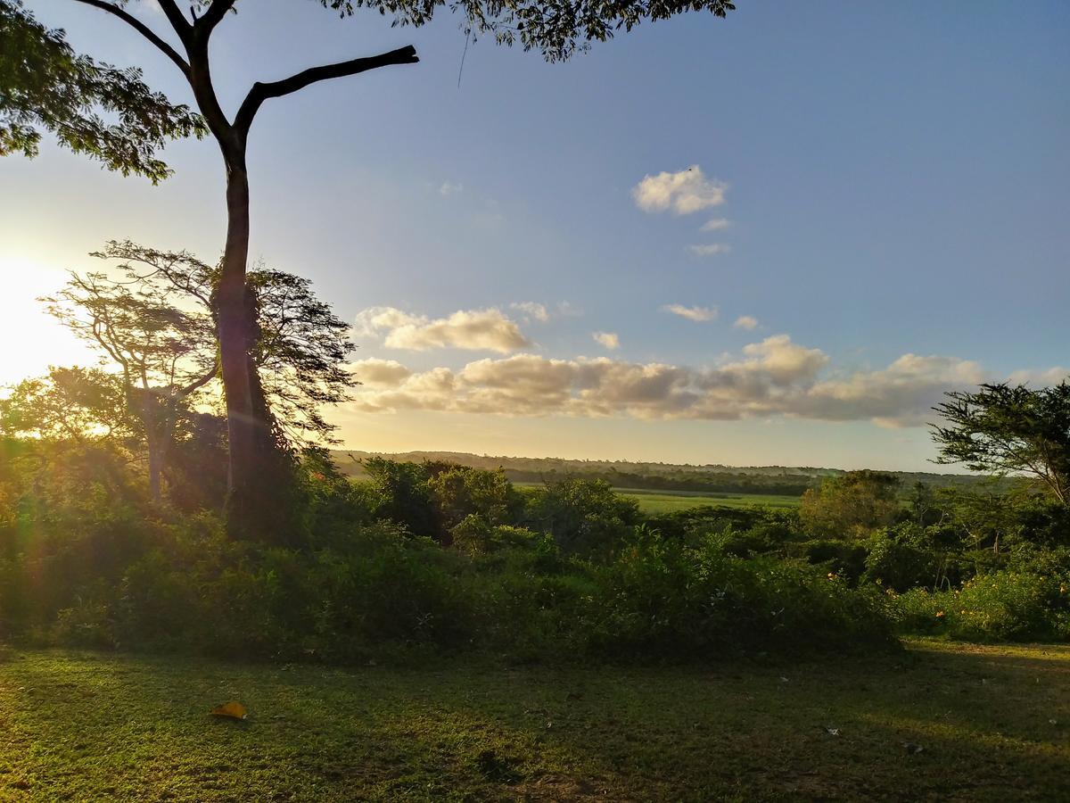 St Lucia Kingfisher Lodge Kültér fotó