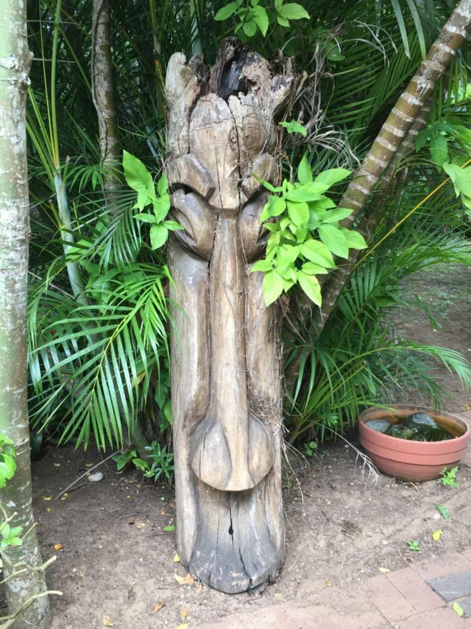 St Lucia Kingfisher Lodge Kültér fotó